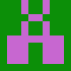 neshipovan_dwen