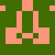 adler_ucea